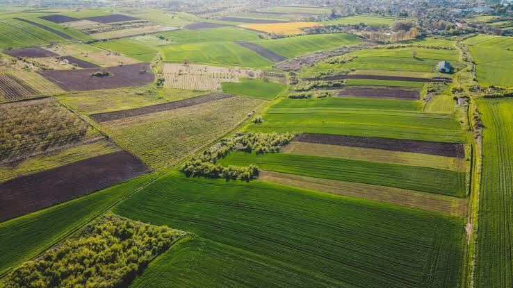 Land assessment and site preparation