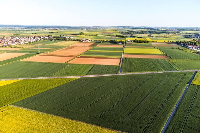 Open land plot with landscaped surroundings